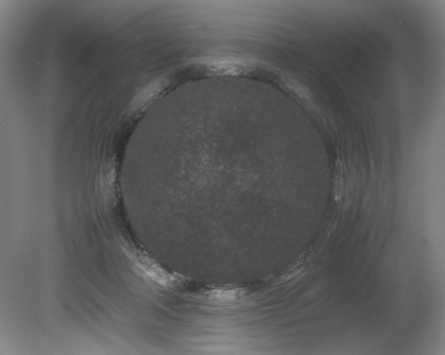 X0000082170314200701191314