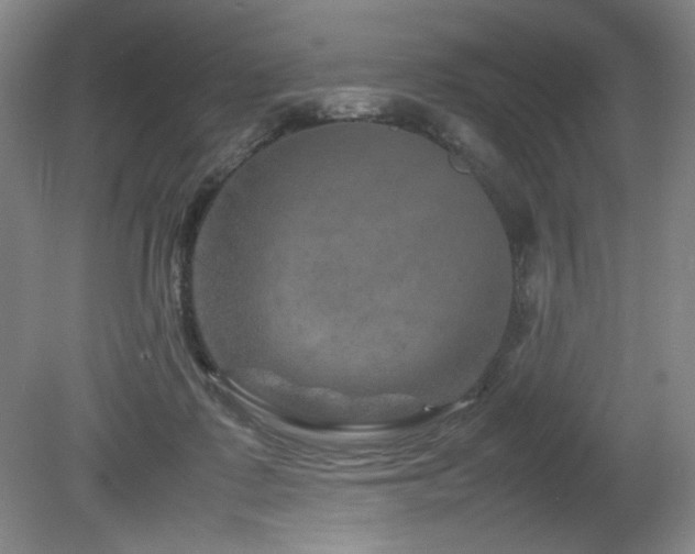 X0000082170315200701191314