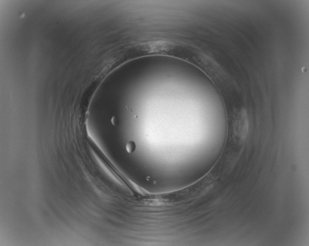 X0000082170316200701191314