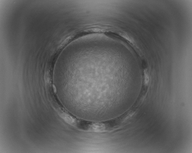 X0000082170317200701191314