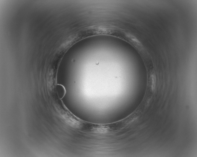 X0000082170318200701191314