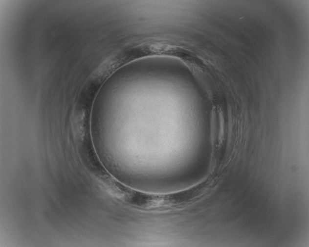 X0000082170319200701191314