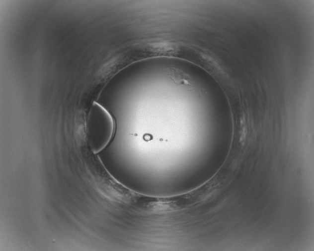 X0000082170320200701191314