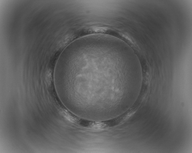 X0000082170321200701191314