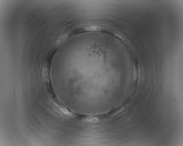 X0000082170322200701191314