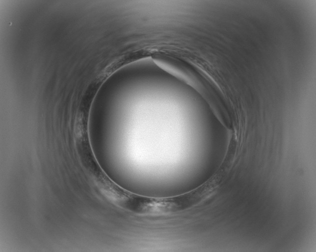 X0000082170323200701191314