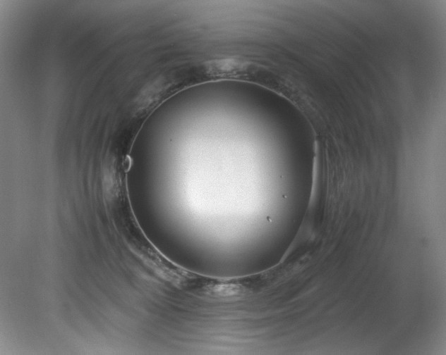 X0000082170324200701191314