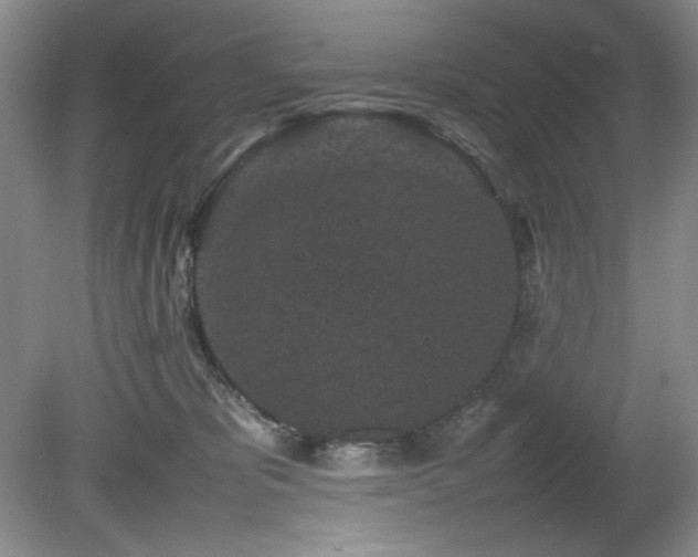 X0000082170325200701191314