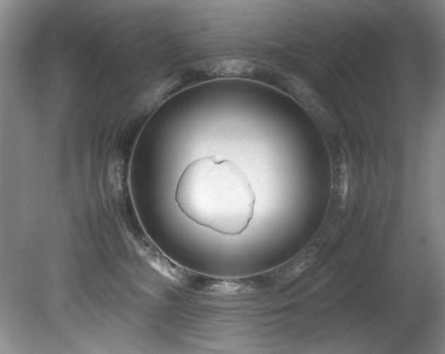 X0000082170326200701191314