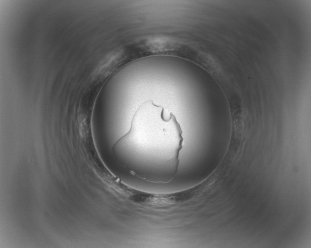 X0000082170327200701191314