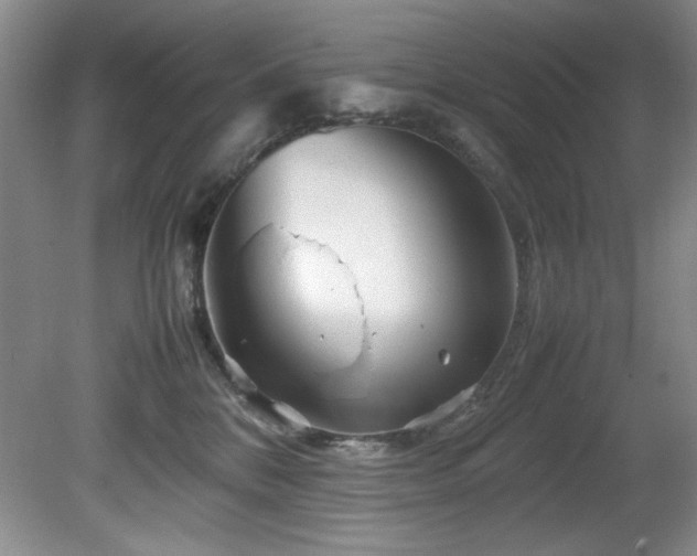 X0000082170328200701191314