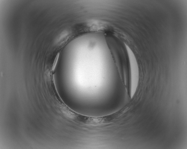 X0000082170329200701191314