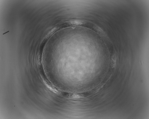 X0000082170330200701191314