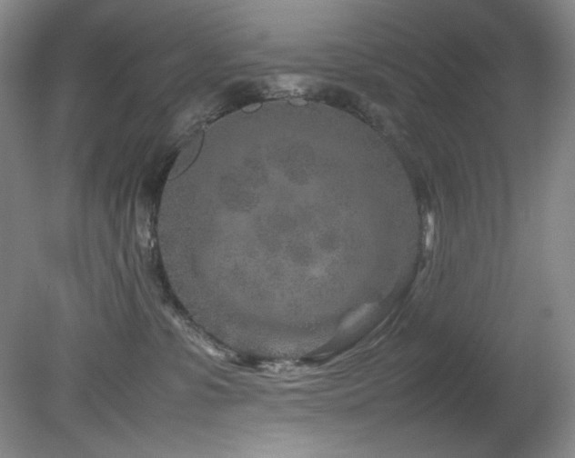 X0000082170331200701191314