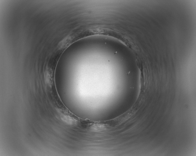 X0000082170332200701191314