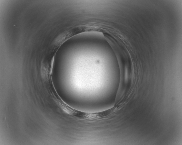 X0000082170333200701191314