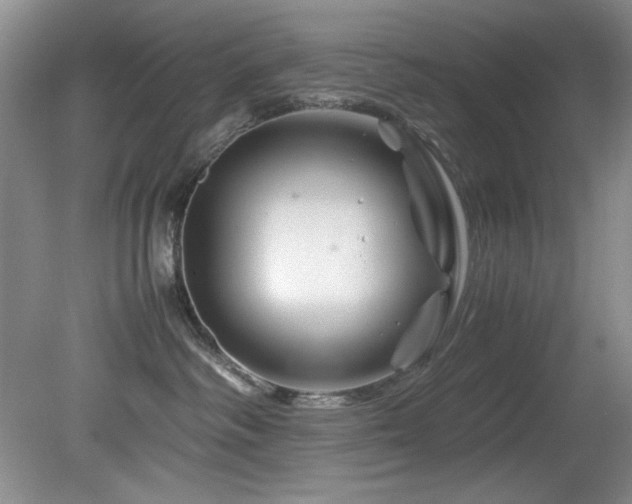 X0000082170334200701191314