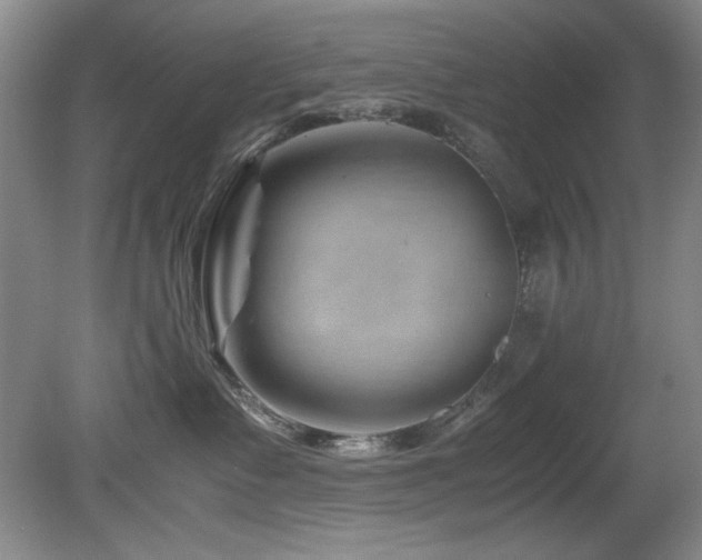 X0000082170335200701191314