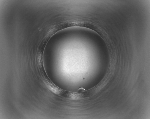 X0000082170336200701191314