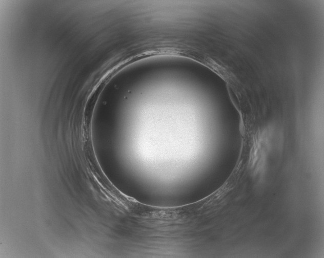 X0000082170338200701191313