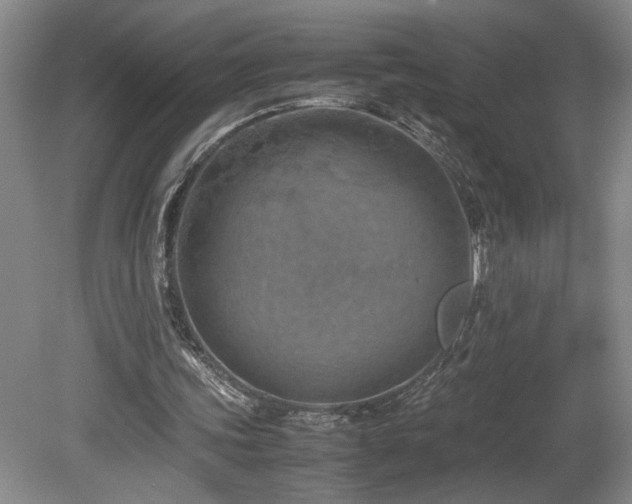 X0000082170339200701191313