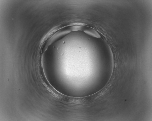 X0000082170341200701191313