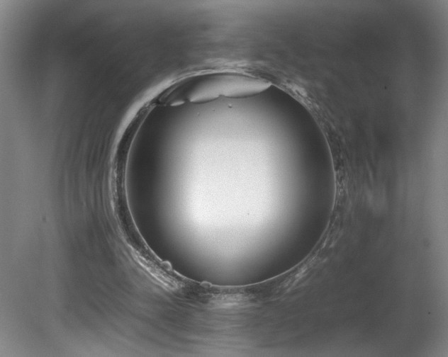 X0000082170342200701191313