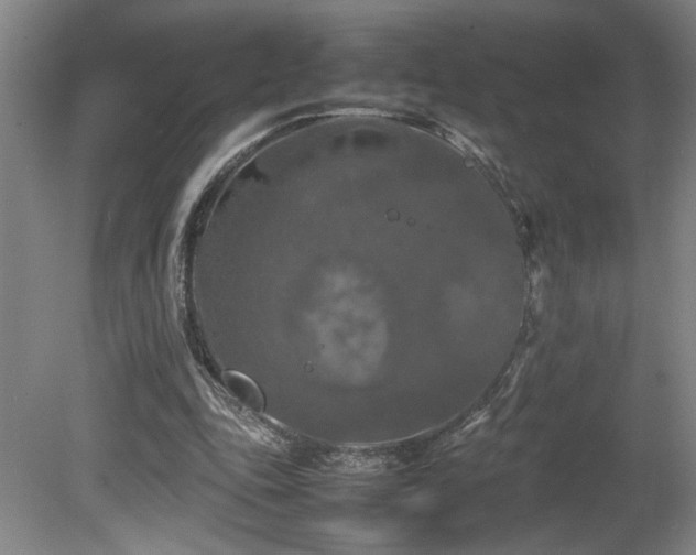 X0000082170343200701191313