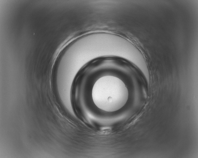 X0000082170344200701191313