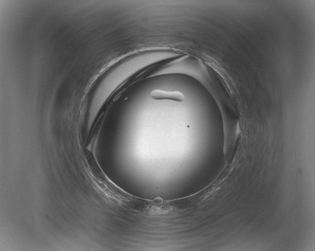 X0000082170346200701191313