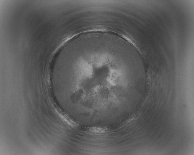 X0000082170347200701191313