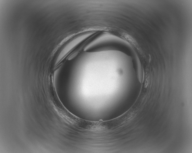 X0000082170348200701191313