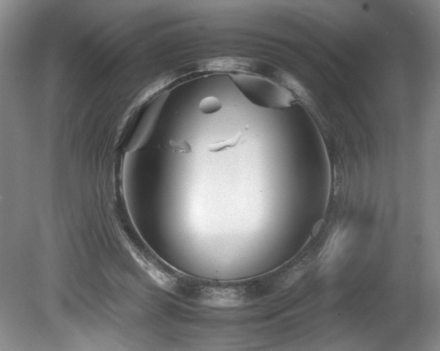 X0000082170349200701191313