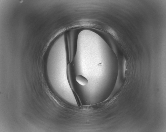 X0000082170350200701191313