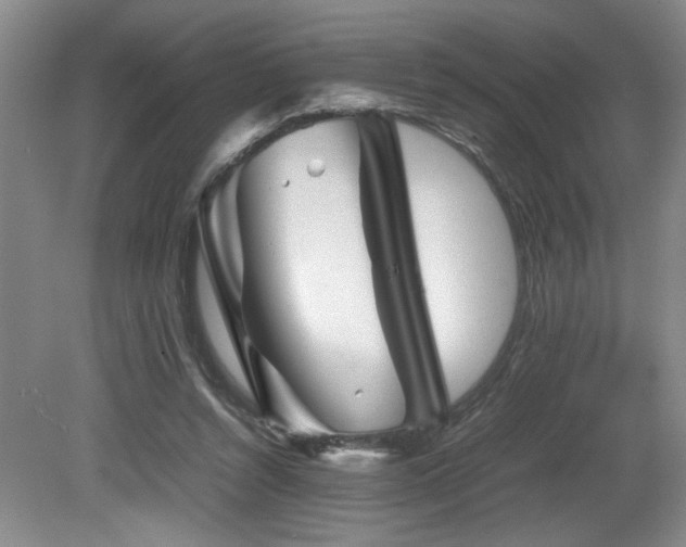 X0000082170352200701191313