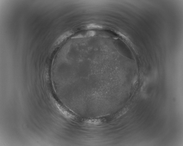 X0000082170353200701191313