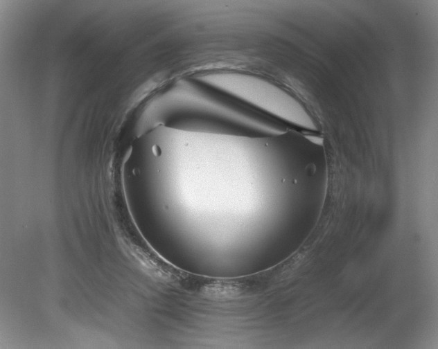 X0000082170354200701191313