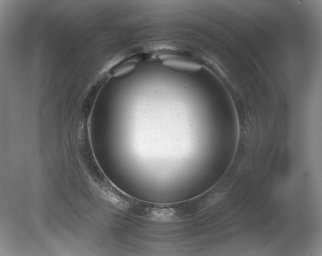 X0000082170355200701191313