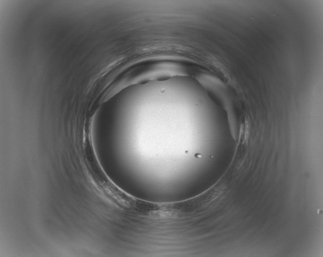 X0000082170356200701191313