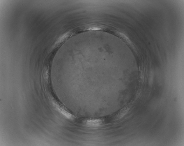 X0000082170357200701191313