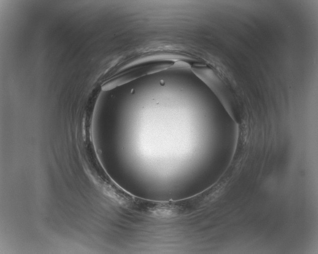 X0000082170358200701191313