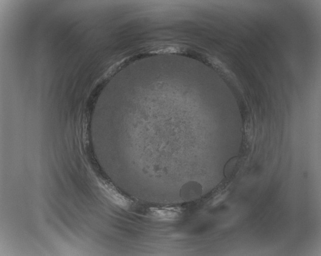 X0000082170359200701191313