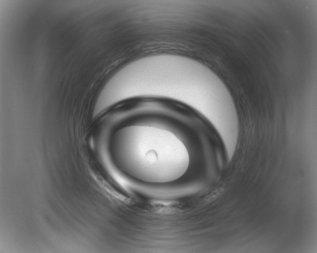 X0000082170360200701191313