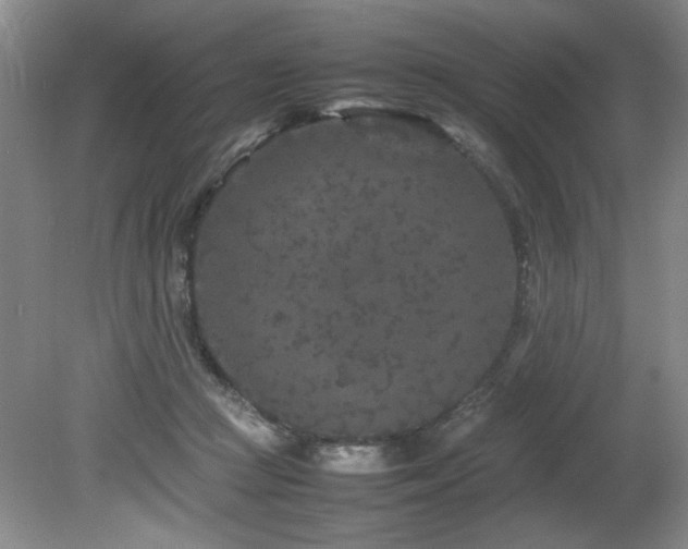 X0000082170361200701191313