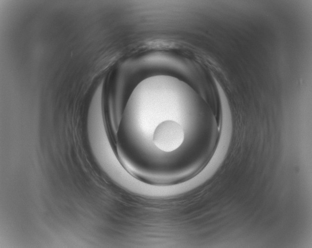 X0000082170362200701191313