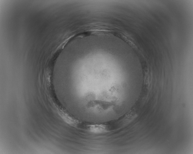 X0000082170363200701191313