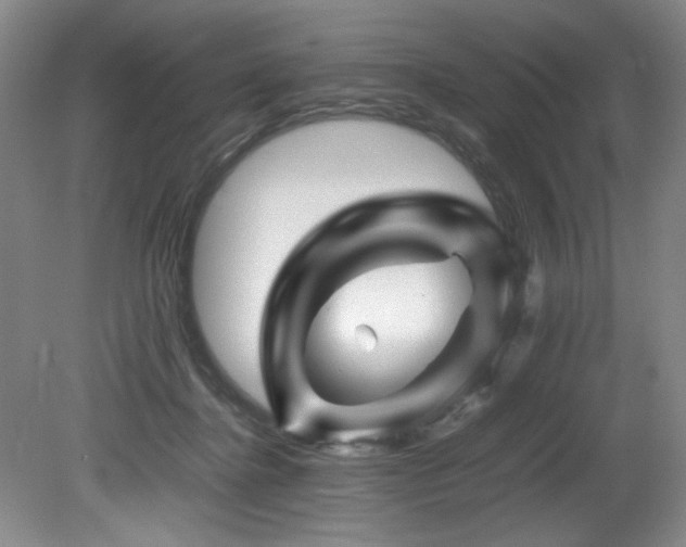 X0000082170364200701191313