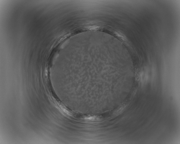 X0000082170365200701191313