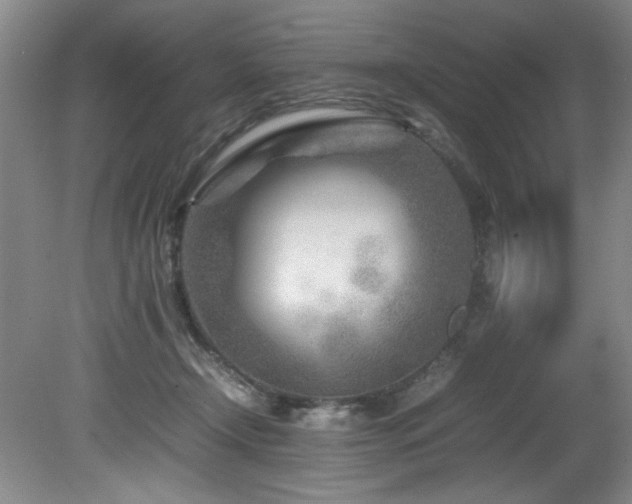 X0000082170366200701191313