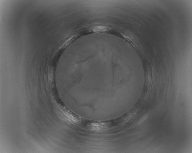 X0000082170367200701191313